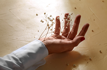 Image showing hand with dried baby's breath flowers in cuff