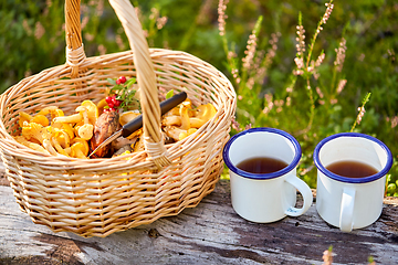 Image showing mushrooms in basket and cups of tea in forest