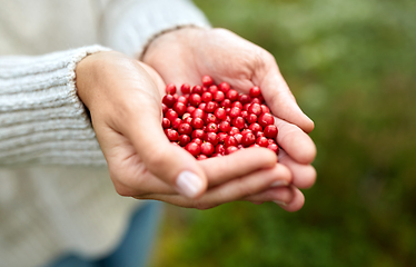 Image showing close up of young woman holding berries in hands