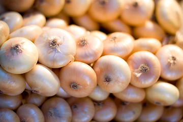 Image showing Onion