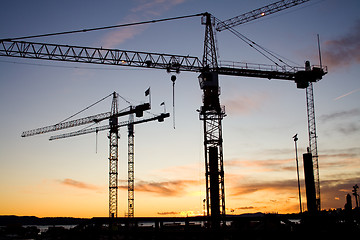 Image showing Cranes