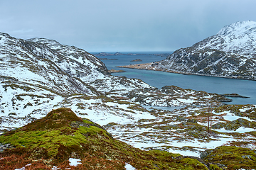 Image showing View of norwegian fjord, Lofoten islands, Norway