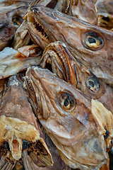 Image showing Drying stockfish cod heads in Reine fishing village in Norway