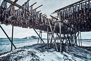 Image showing Drying flakes for stockfish cod fish in winter. Lofoten islands,