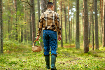 Image showing man with basket picking mushrooms in forest