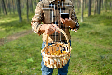 Image showing man with smartphone and mushrooms in basket