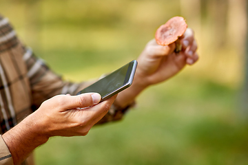 Image showing hands using smartphone app to identify mushroom