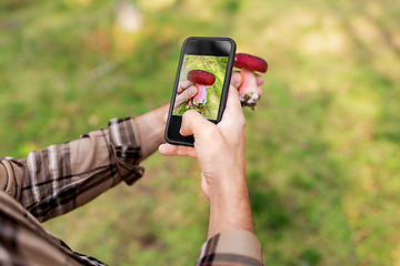 Image showing hands using smartphone app to identify mushroom