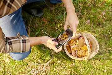 Image showing man with smartphone and mushrooms in basket