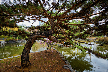 Image showing Yeouido Park in Seoul, Korea