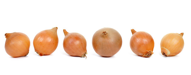 Image showing Onions