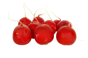 Image showing Fresh red radish 