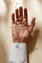 Image showing hand with dried baby's breath flowers in cuff