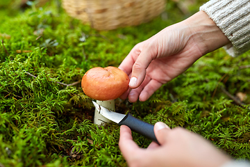 Image showing young woman picking mushrooms in autumn forest