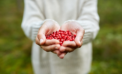 Image showing close up of young woman holding berries in hands