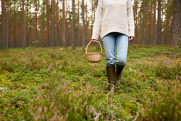 Image showing woman with basket picking mushrooms in forest