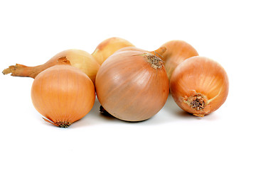 Image showing Onions