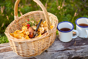 Image showing mushrooms in basket and cups of tea in forest