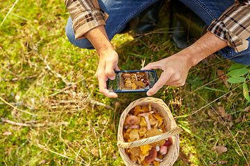 Image showing man with smartphone and mushrooms in basket