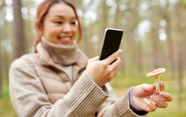 Image showing asian woman using smartphone to identify mushroom