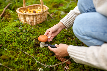 Image showing young woman picking mushrooms in autumn forest