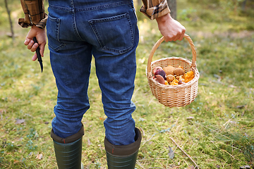 Image showing man with basket picking mushrooms in forest