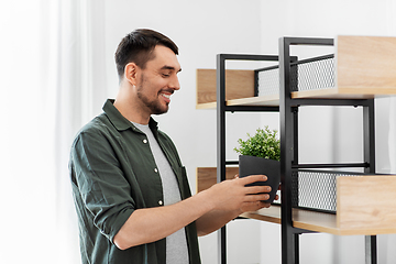 Image showing man decorating home with flower or houseplant