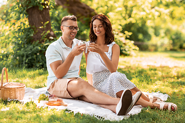 Image showing happy couple having picnic at summer park