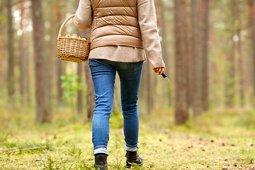 Image showing young woman picking mushrooms in autumn forest