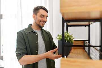 Image showing man decorating home with flower or houseplant