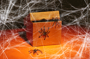 Image showing toy spiders crawling out of gift box on halloween