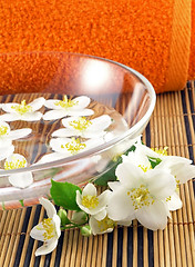 Image showing series flowers: branch of fresh jasmine