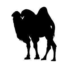 Image showing Camel Silhouette