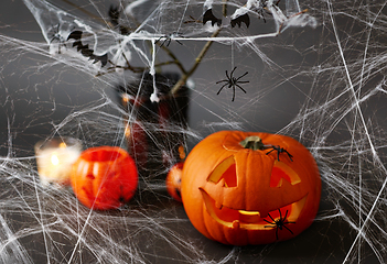 Image showing pumpkins, spider web and halloween decorations