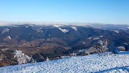 Image showing Winter panorama of mountains on a sunny day. Carpathians, Ukraine