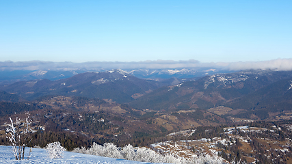 Image showing Winter panorama of mountains on a sunny day. Carpathians, Ukraine