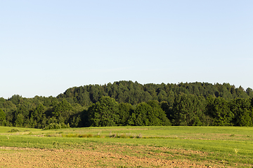 Image showing summer landscape