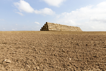 Image showing cylindrical rolls of straw