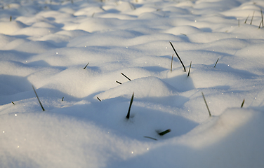 Image showing Snow drifts in winter