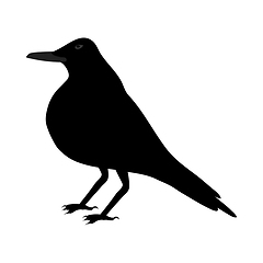 Image showing Black Crow 