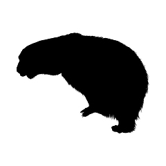 Image showing Polar Bear Silhouette