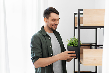 Image showing man decorating home with flower or houseplant