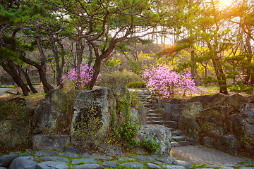 Image showing Park in Asia on sunset