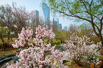 Image showing Yeouido Park in Seoul, Korea