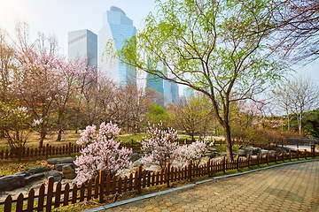 Image showing Yeouido Park in Seoul, Korea