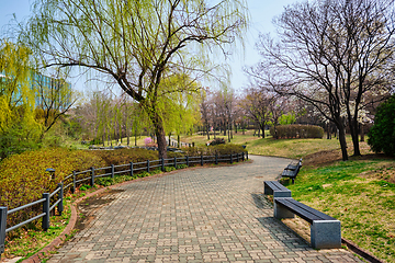 Image showing Yeouido Park in Seoul, Korea