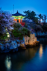 Image showing Yongyeon Pond with Yongyeon Pavilion illuminated at night, Jeju islands, South Korea