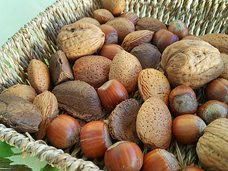 Image showing Mix of different types nuts close-up 