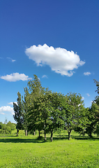 Image showing Beautiful summer landscape