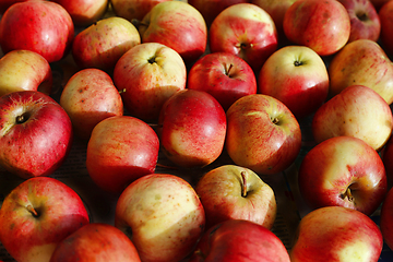 Image showing Bright beautiful ripe apples